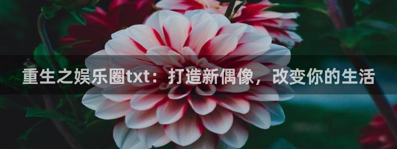 泰达娱乐.com