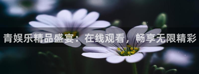 泰达娱乐平台官网入口