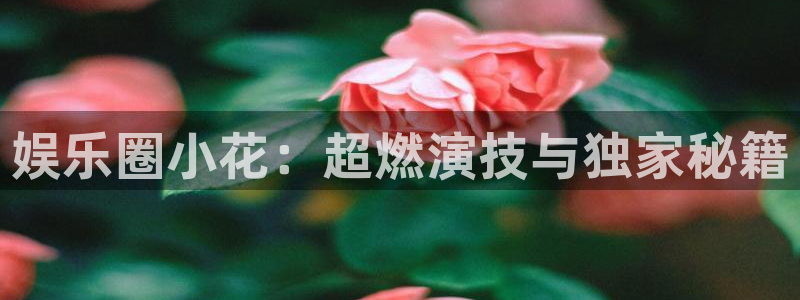 泰达娱乐官网