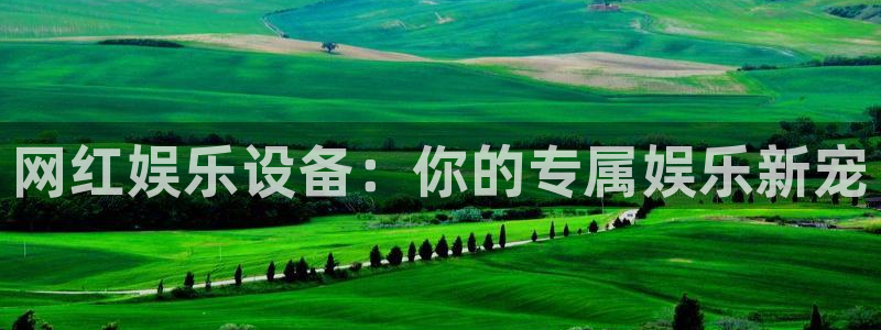 泰达娱乐app网页入口