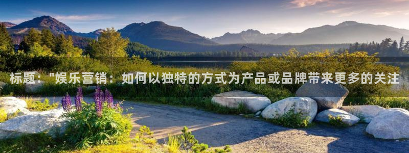 泰达娱乐加拿大在线预测