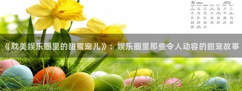 泰达娱乐注册入口与教程