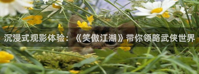 泰达娱乐平台官网版最新：沉浸式观影体验：《笑傲江湖》带你领略武侠世界