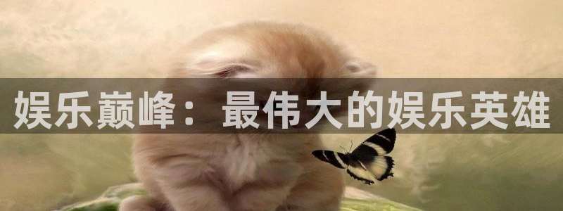 壹号大舞台入口：娱乐巅峰：最伟大的娱乐英雄