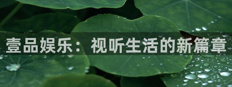 泰达娱乐：壹品娱乐：视听生活的新篇章