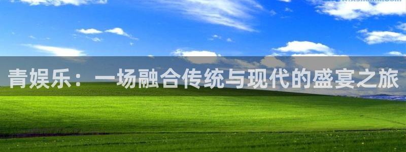 泰达娱乐注册网站app：青娱乐：一场融合传统与现代的盛宴之旅