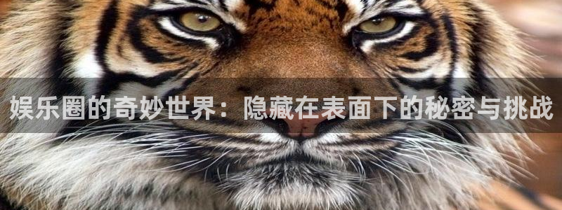 泰达娱乐app官网下载：娱乐圈的奇妙世界：隐藏在表面下的秘密与挑战