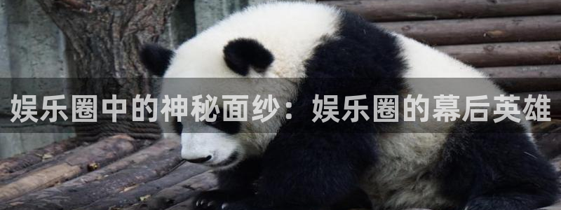 泰达娱乐电子游戏官网：娱乐圈中的神秘面纱：娱乐圈的幕后英雄