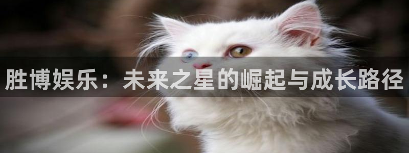 泰达娱乐注册网站链接：胜博娱乐：未来之星的崛起与成长路径