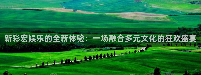 泰达娱乐游戏官网平台入口：新彩宏娱乐的全新体验：一场融合多元文化的狂欢盛宴