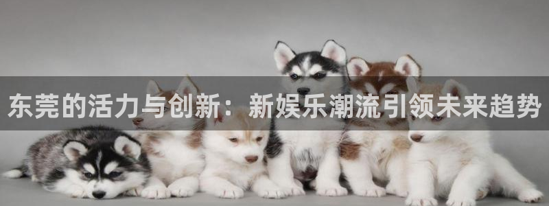 泰达娱乐平台登录入口：东莞的活力与创新：新娱乐潮流引领未来趋势