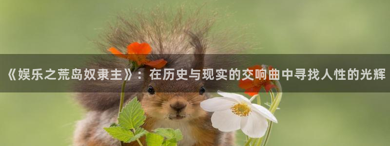 泰达娱乐app下载安装：《娱乐之荒岛奴隶主》：在历史与现实的交响曲中寻找人性的光辉