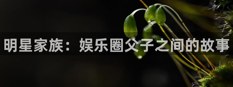 泰达娱乐吧：明星家族：娱乐圈父子之间的故事