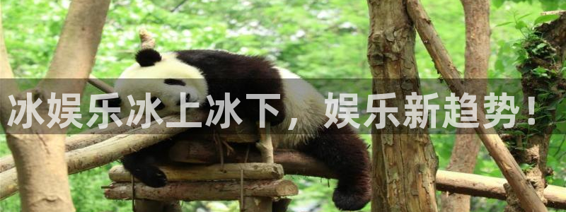 壹号app下载官网娱乐：冰娱乐冰上冰下，娱乐新趋势！